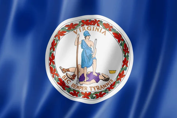 Virginia Flag United States Waving Banner Collection Illustration — Stock Photo, Image