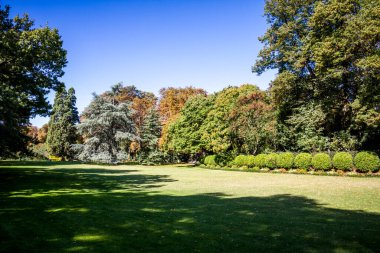 Lüksemburg Bahçeleri Ünlü Halk Parkı, Paris, Fransa