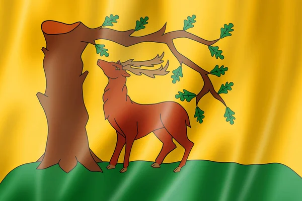 Berkshire County Flag Egyesült Királyság Waving Banner Collection Illusztráció — Stock Fotó