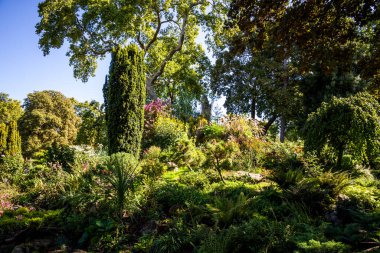 Parc Monceau Bahçeleri yazın, Paris, Fransa