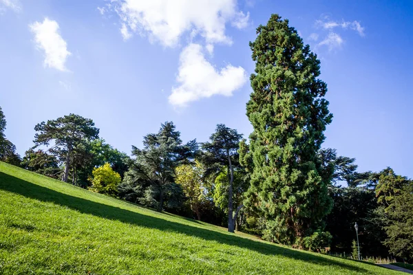 Buttes Chaumont Famous Park Summer Paris France — ストック写真