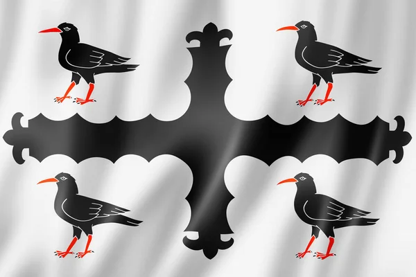 Flintshire County Flag Velká Británie Mává Transparentní Sbírkou Ilustrace — Stock fotografie