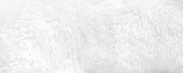 Clean White Fur Background Close View Banner — Stock Photo, Image