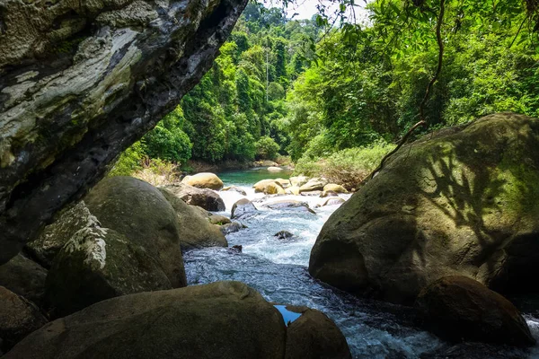 Flod Djungeln Regnskog Nationalparken Khao Sok Thailand — Stockfoto