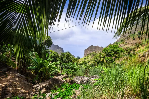 Paul Valley Krajina Ostrově Santo Antao Kapverdy Afrika — Stock fotografie