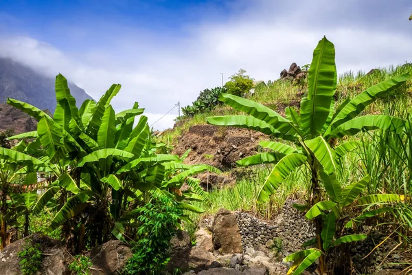 Paisaje Del Valle Paul Isla Santo Antao Cabo Verde África — Foto de Stock