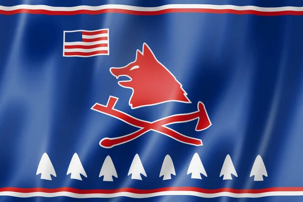 Pawnee People Ethnie Flagge Usa Illustration — Stockfoto