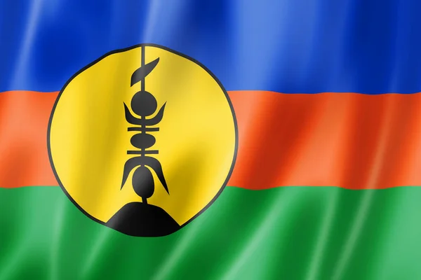 Flnks Kanak Etnikai Zászló Kaledónia Illusztráció — Stock Fotó