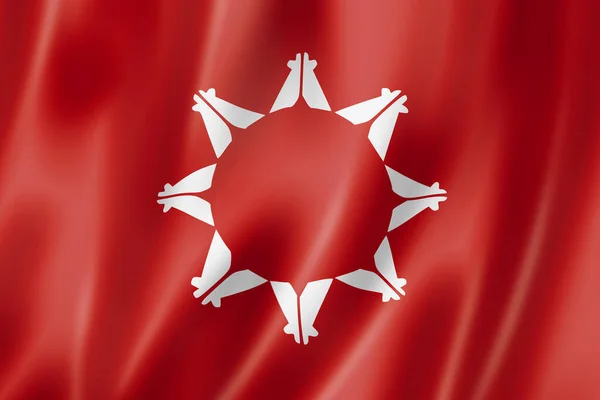 Этнический Флаг Сиу Сша Иллюстрация — стоковое фото