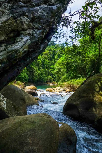 Rio Floresta Tropical Selva Parque Nacional Khao Sok Tailândia — Fotografia de Stock