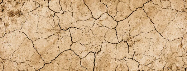 Dry mud background texture. Global Warming concept banner