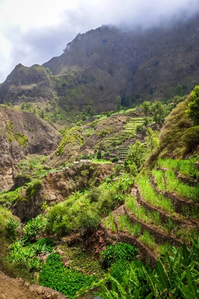 Paul Valley Krajina Ostrově Santo Antao Kapverdy Afrika — Stock fotografie