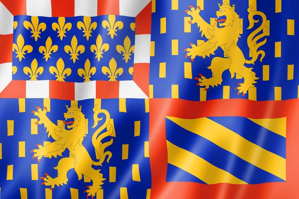 Bourgogne Franche Comte Region Flagga Frankrike Viftar Banner Samling Illustration — Stockfoto