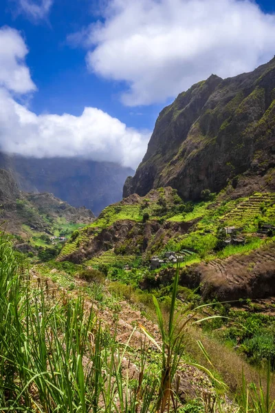 Paul Valley Τοπίο Στο Νησί Santo Antao Πράσινο Ακρωτήριο Αφρική — Φωτογραφία Αρχείου
