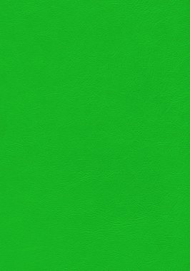 Yeşil deri kaplama. Doğal materyal deseni.