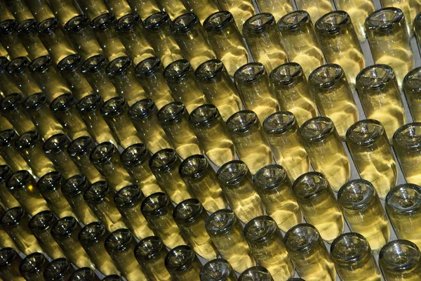 Vinný sklep (Itálie, franciacorta) — Stock fotografie