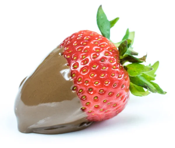 Fraise au chocolat sur fond blanc — Photo