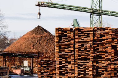 Fabrikada inşaat kereste. Değirmen ürünleri.