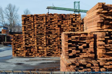 Fabrikada inşaat kereste. Değirmen ürünleri.