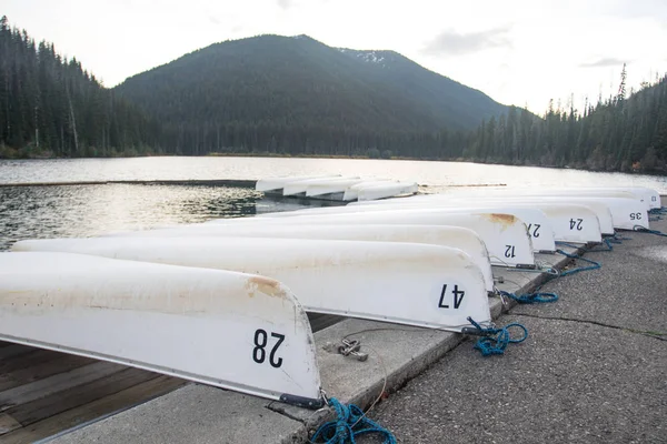 Canot blanc en rangée amarré sur un lac . — Photo