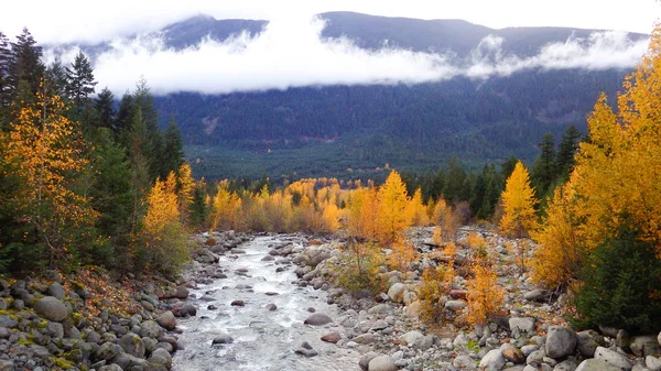 Vue d'automne sur la vallée de la rivière, Colombie-Britannique, Canada — Photo