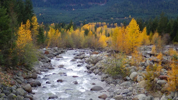 Vue d'automne sur la vallée de la rivière, Colombie-Britannique, Canada — Photo