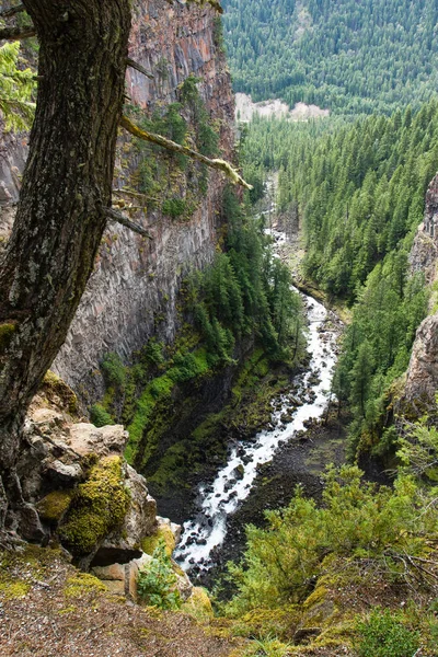 Spahats Falls. Parc provincial Wells Gray Clearwater Colombie-Britannique Canada — Photo