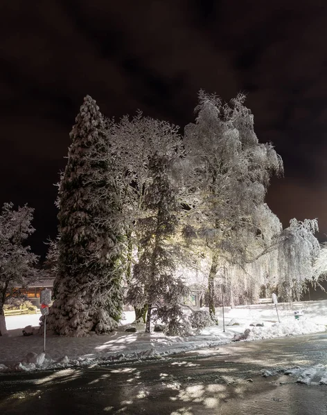 Zimowy snowpark aleja noc światła krajobraz. Zima śnieg noc światła w zimie widok na park miejski — Zdjęcie stockowe