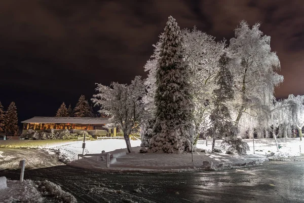 Zimowy snowpark aleja noc światła krajobraz. Zima śnieg noc światła w zimie widok na park miejski — Zdjęcie stockowe