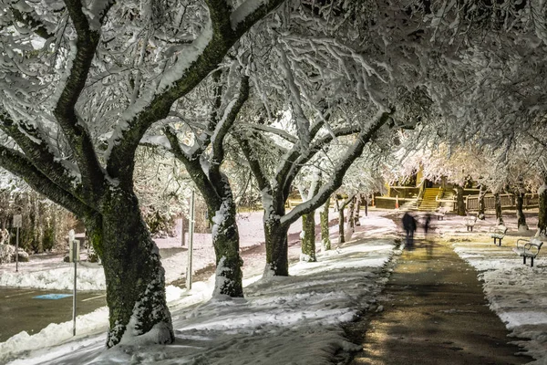Zimowa kraina cudów. Drzewa pokryte śniegiem, nocne światła miasta. Idealny obraz, który przywołuje ducha wakacji. — Zdjęcie stockowe