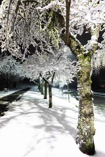 Magiczny park zimowy to bajka, tajemnica. Zimowy snowpark aleja noc światła krajobraz. Śnieg w zimie noc park aleja panorama — Zdjęcie stockowe