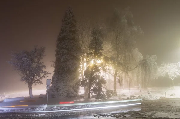 Winter alley in park and shining lanterns. Night shot. Winter wonderland. — Stock Photo, Image