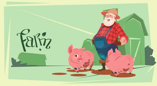 Granjero alimentación cerdo cerdo carnicero animal granja — Vector de stock