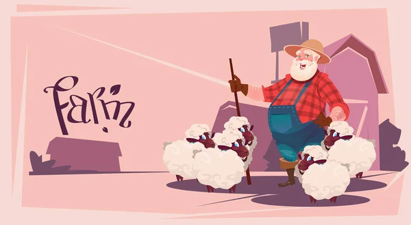 Exploitant élevant des moutons Ferme de laine — Image vectorielle