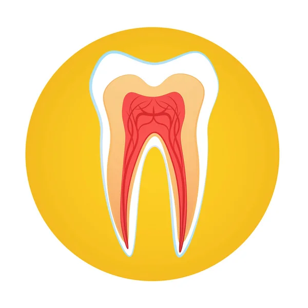 Cuidado médico dental Día Mundial de la Salud Banner saludable — Archivo Imágenes Vectoriales