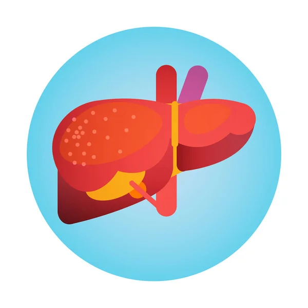 Icono del Hígado Día Mundial de la Salud Banner Global Holiday — Vector de stock