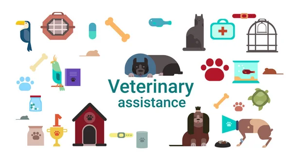 Veterinär klinik ikoner av veterinärmedicinska bistånd — Stock vektor
