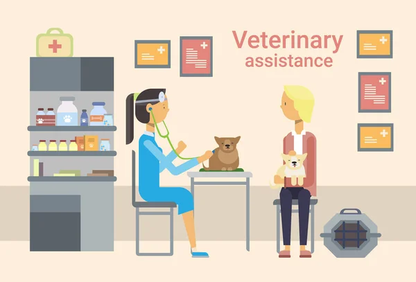 Médecin vétérinaire guérir animal dans la clinique d'assistance vétérinaire — Image vectorielle