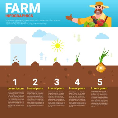 Infographics çevre dostu organik doğal sebze büyüme çiftlik üretim afiş ile kopya alanı tarım