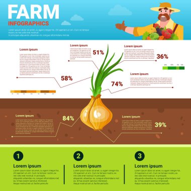 Infographics çevre dostu organik doğal sebze büyüme çiftlik üretim afiş ile kopya alanı tarım