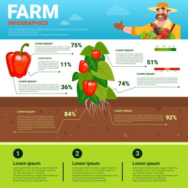 Infographics çevre dostu organik doğal sebze büyüme çiftlik üretim afiş ile kopya alanı tarım