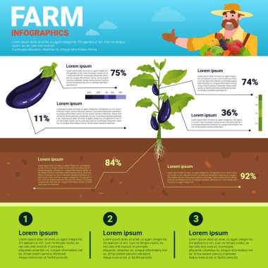 Infographics çevre dostu organik doğal sebze büyüme çiftlik üretim afiş ile kopya alanı tarım