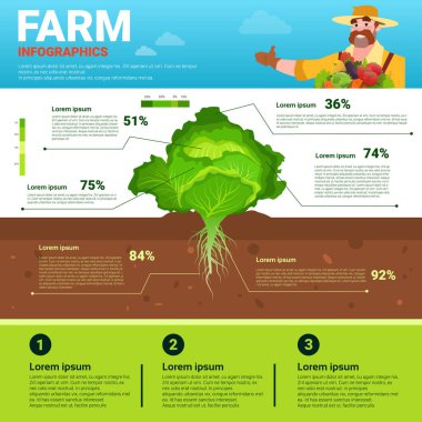 Infographics çevre dostu organik doğal sebze büyüme çiftlik üretim afiş ile kopya alanı tarım