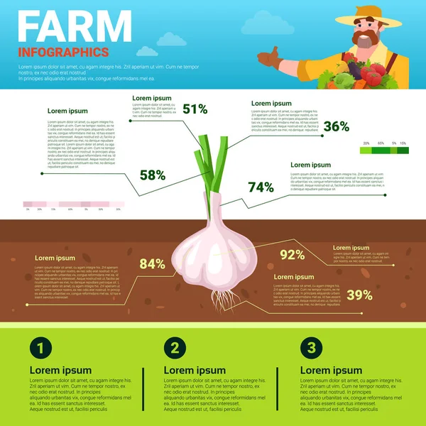 Infografías agrícolas Eco Friendly Organic Natural vegetable Growth Farm Production Banner con espacio de copia — Vector de stock