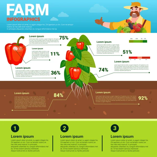 Infografías agrícolas Eco Friendly Organic Natural vegetable Growth Farm Production Banner con espacio de copia — Vector de stock