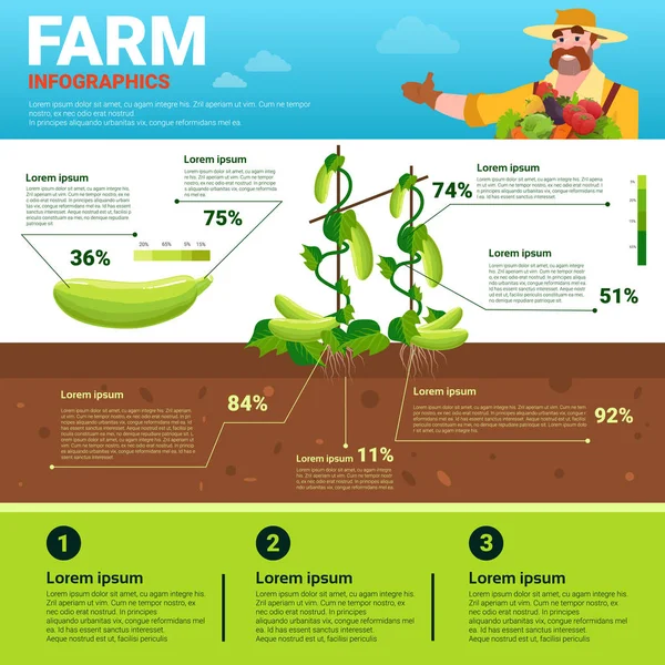 Infografías agrícolas Eco Friendly Organic Natural vegetable Growth Farm Production Banner con espacio de copia — Vector de stock