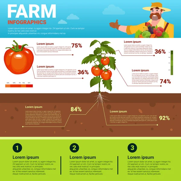 Farming Infographics Eco Friendly Organic Natural vegetable Growth Farm Production Banner With Copy Space — Stock Vector