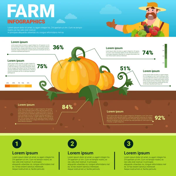 Infografías agrícolas Eco Friendly Organic Natural vegetable Growth Farm Production Banner con espacio de copia — Vector de stock