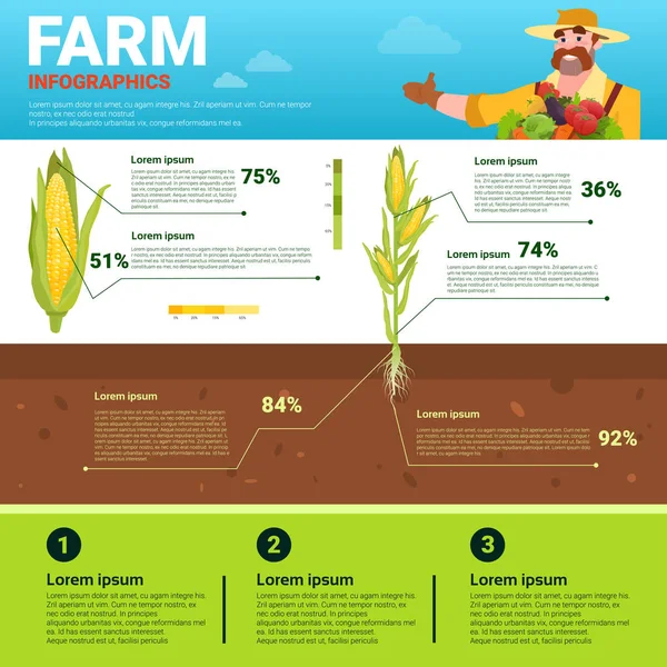 Landwirtschaft Infografiken umweltfreundliche organische natürliche Gemüseanbau Bauernhof Produktion Banner mit Kopierfläche — Stockvektor