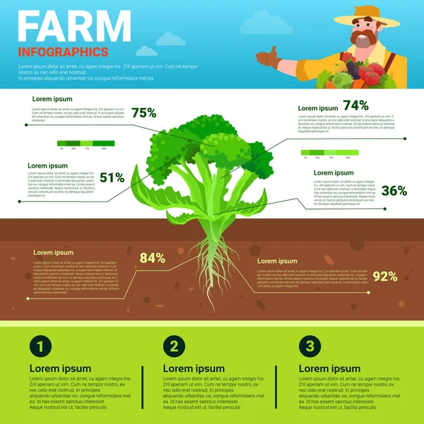 Infografías agrícolas Eco Friendly Organic Natural vegetable Growth Farm Production Banner con espacio de copia — Vector de stock